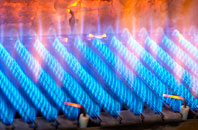 Fogwatt gas fired boilers